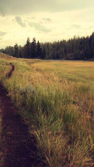 泛目录站群代做截图3