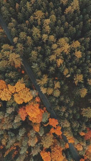 红蜘蛛池程序截图3