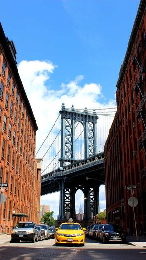 怎样联系蜘蛛池推广员截图4