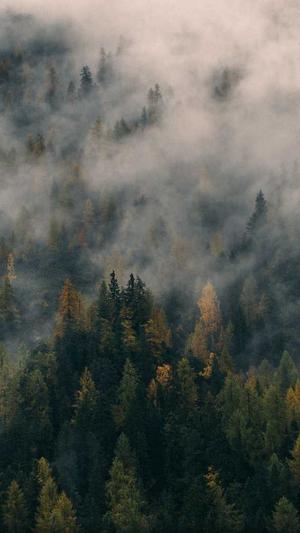 上海移动网站建设截图5