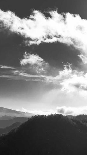 陕西蜘蛛池出租截图1