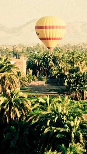 蜘蛛池要用多少域名截图1