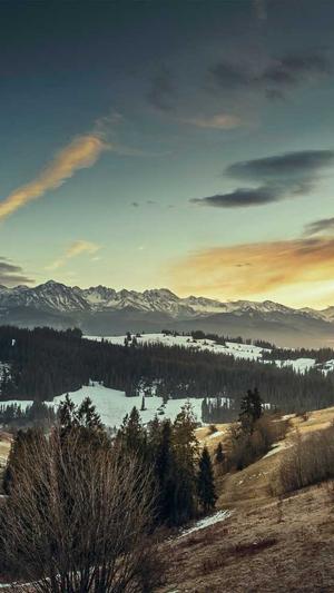 淘宝标题seo智能工具截图1