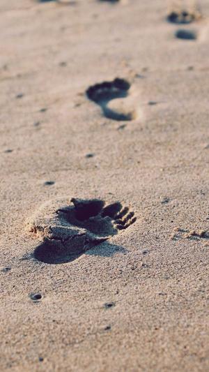 蜘蛛seo超级工具截图3