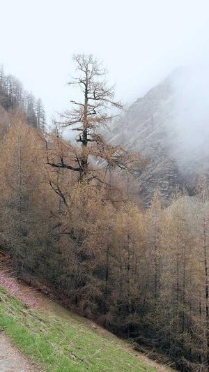 B2B2C网站建设截图3