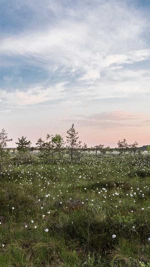 蜘蛛池程序外推截图2