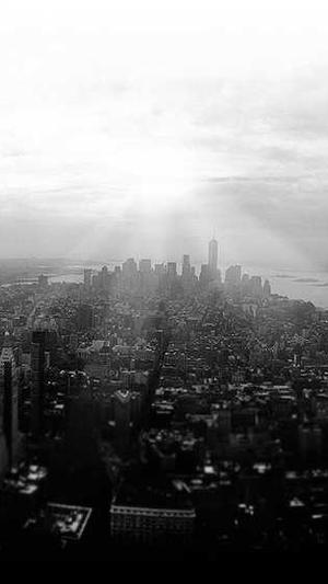 贵阳蜘蛛池外推软件截图4