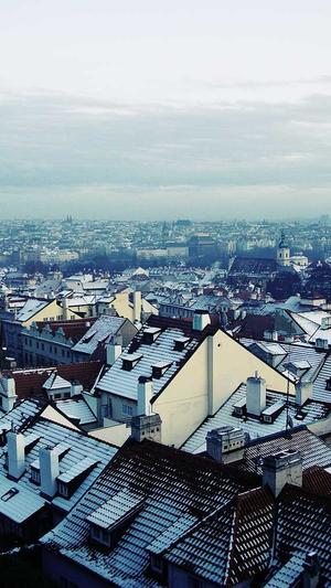 室内蜘蛛池有用吗截图1