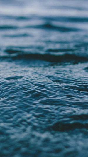 蜘蛛池出租价格合理截图1