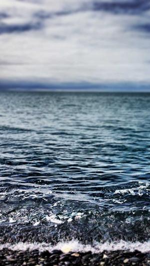 seo实战密码截图1