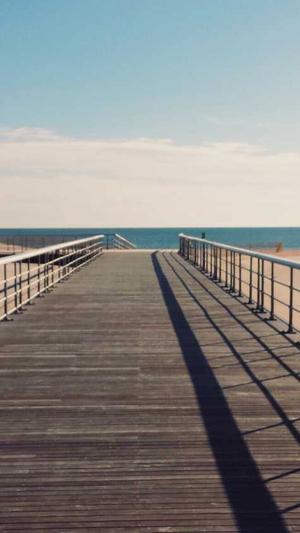 泛目录站群截图5