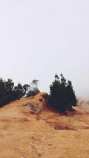 google seo工具分类截图4