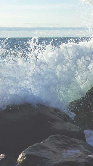 2021泛目录截图1