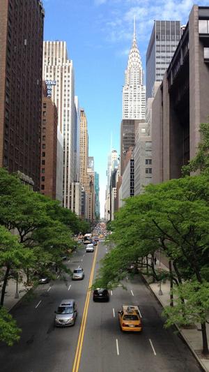 重庆seo排名电话截图1