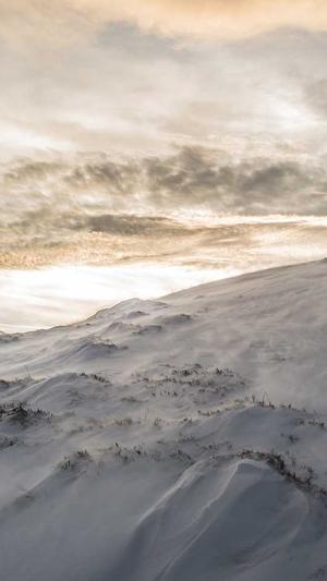 怎样把链接放蜘蛛池截图1