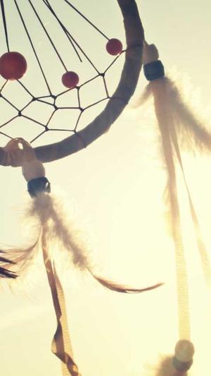 蜘蛛池和泛站群区别截图1