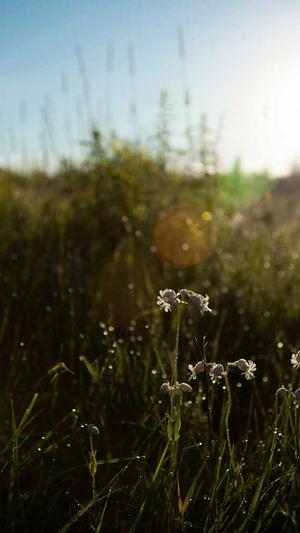 利用站群做蜘蛛池截图5