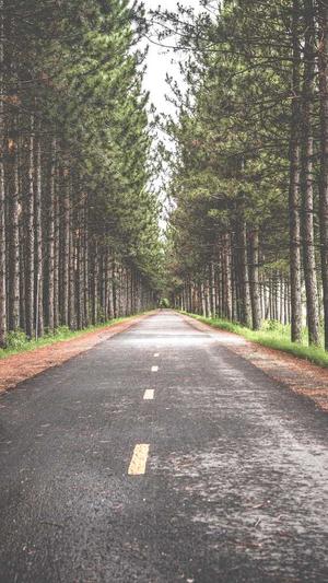 重庆网站建设公司截图3