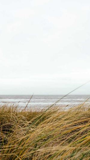 英文seo工具截图3