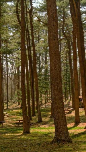 abc网站建设截图4