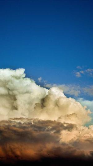 百度蜘蛛池原理图截图4