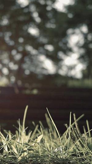 宁夏网站建设截图1