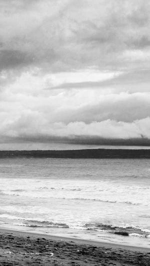 寄生虫不要蜘蛛池截图4