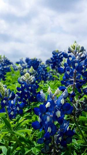 高端网站建设多少钱截图2