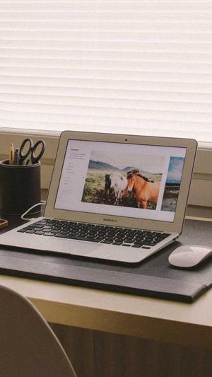 蜘蛛池能做徽ahuaseσ截图1