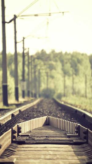 泛目录大流量站群系统截图2