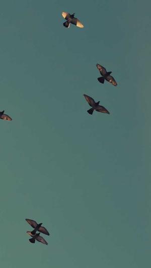 洛阳网站建设截图4