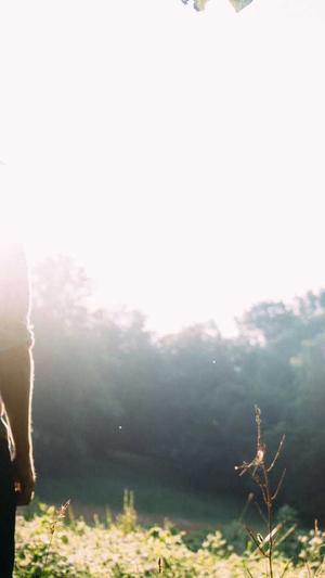 贵阳seo优化截图3