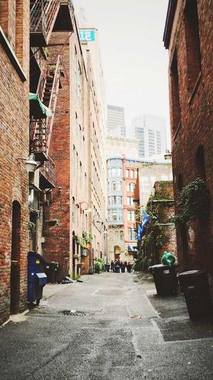 seo有哪些优化工具截图3