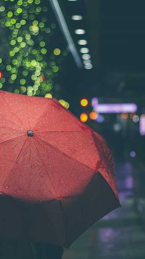 seo长尾词挖掘工具截图2