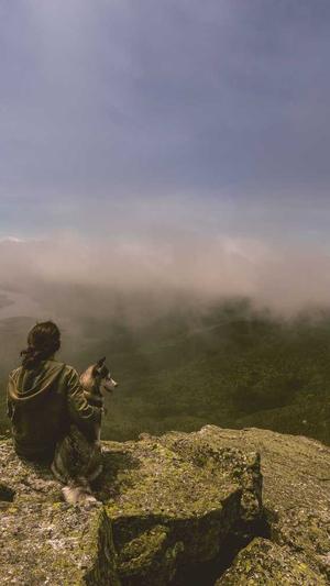 seo关键字优化工具截图3