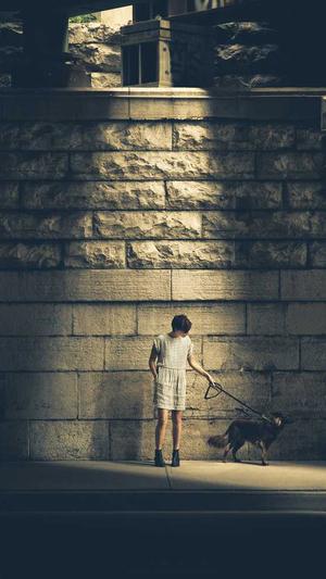 seo推广公司截图1