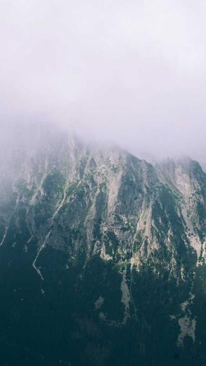 超级蜘蛛池好用截图3