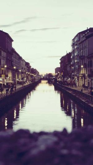 蜘蛛池是什么意思截图4