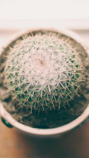 外贸网站建设公司截图1