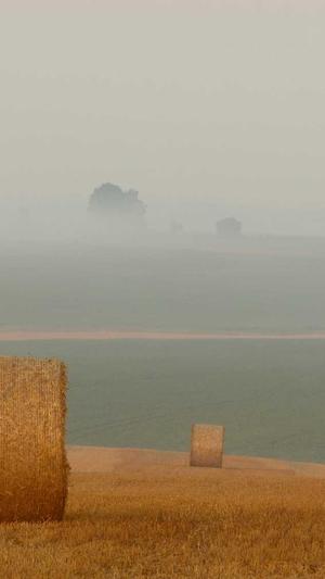 西安seo优化软件工具截图5