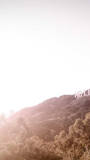 最新蜘蛛池免费版下载截图5