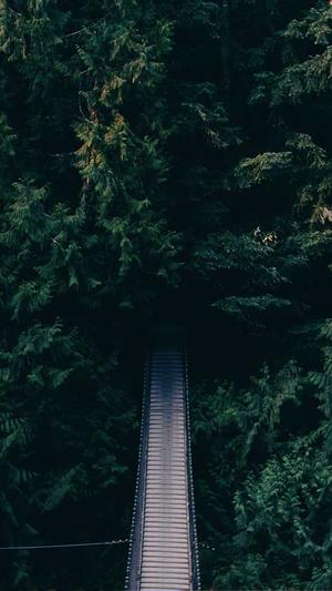 seo实战培训截图4