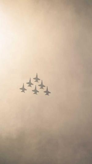 泛目录好还是站群好截图3