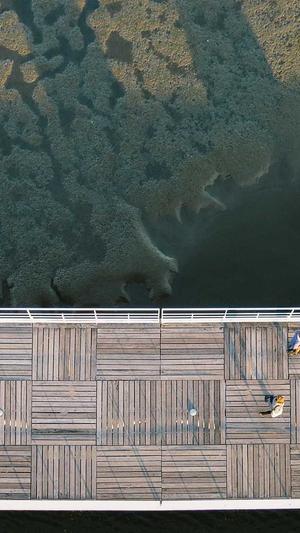 广州网站建设网站截图5