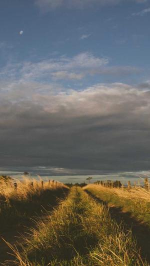 头条蜘蛛池租用多少钱截图3