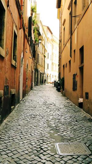 高权重泛目录截图1