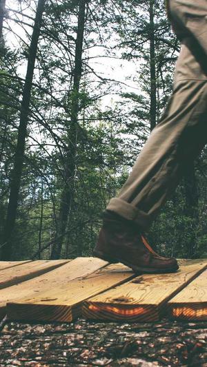 武汉免费网站建设截图1