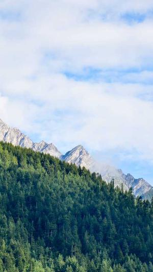 南京seo优化截图2