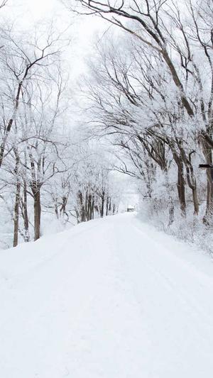 seo实战培训截图3