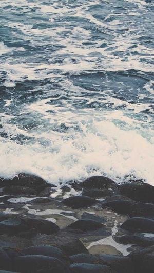 泛目录站群截图3